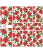 Vandens lipdukas N172